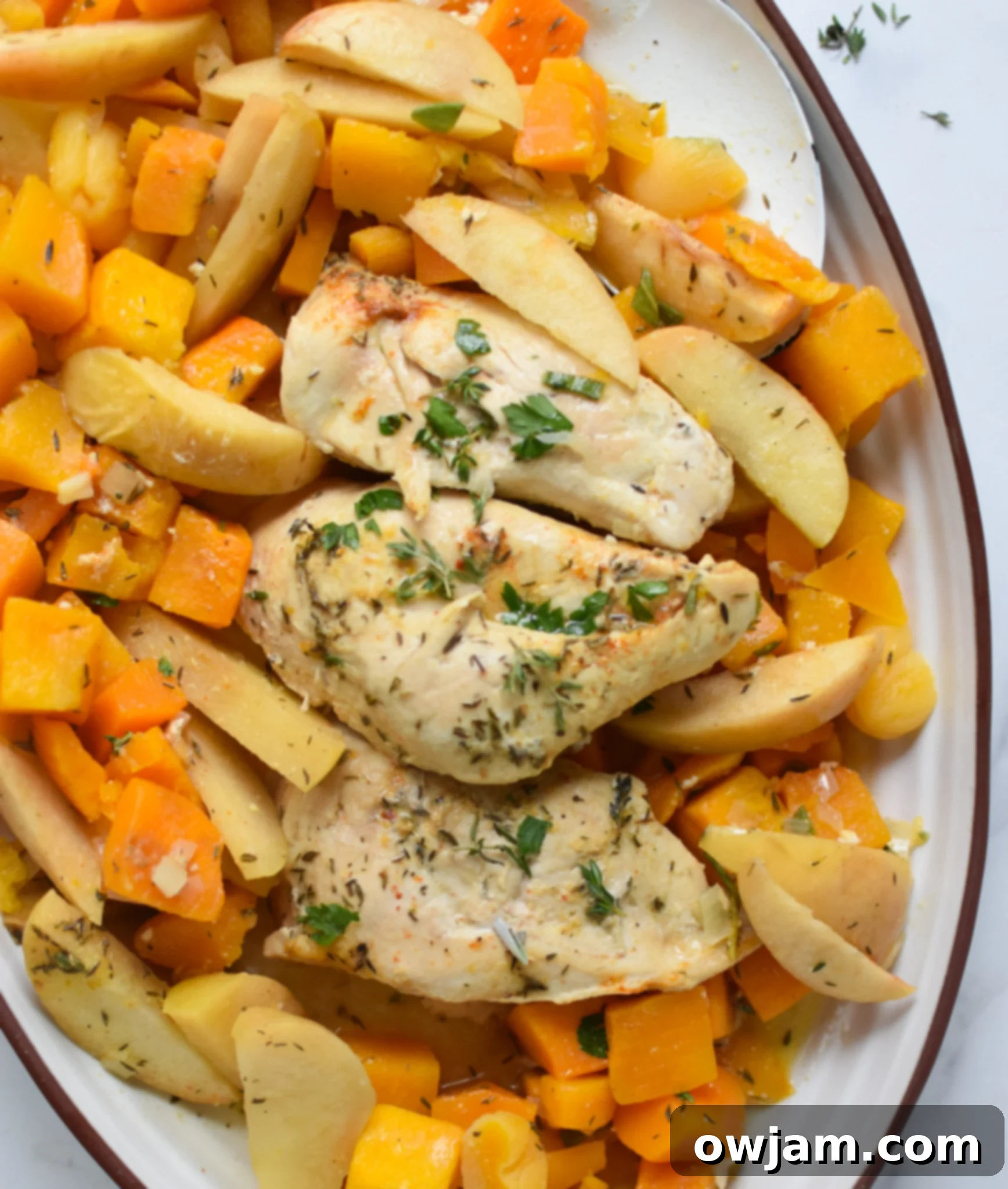 A serving of Crockpot Apple Chicken Breast Recipe on a white plate, garnished with fresh herbs, ready to be enjoyed.