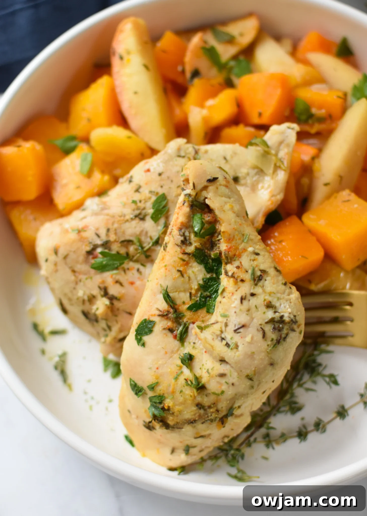 Easy Slow Cooker Apple Chicken Breasts 5 Close-up of a serving of Crockpot Apple Chicken Breast Recipe on a white plate, highlighting the tender chicken, apples, and butternut squash.