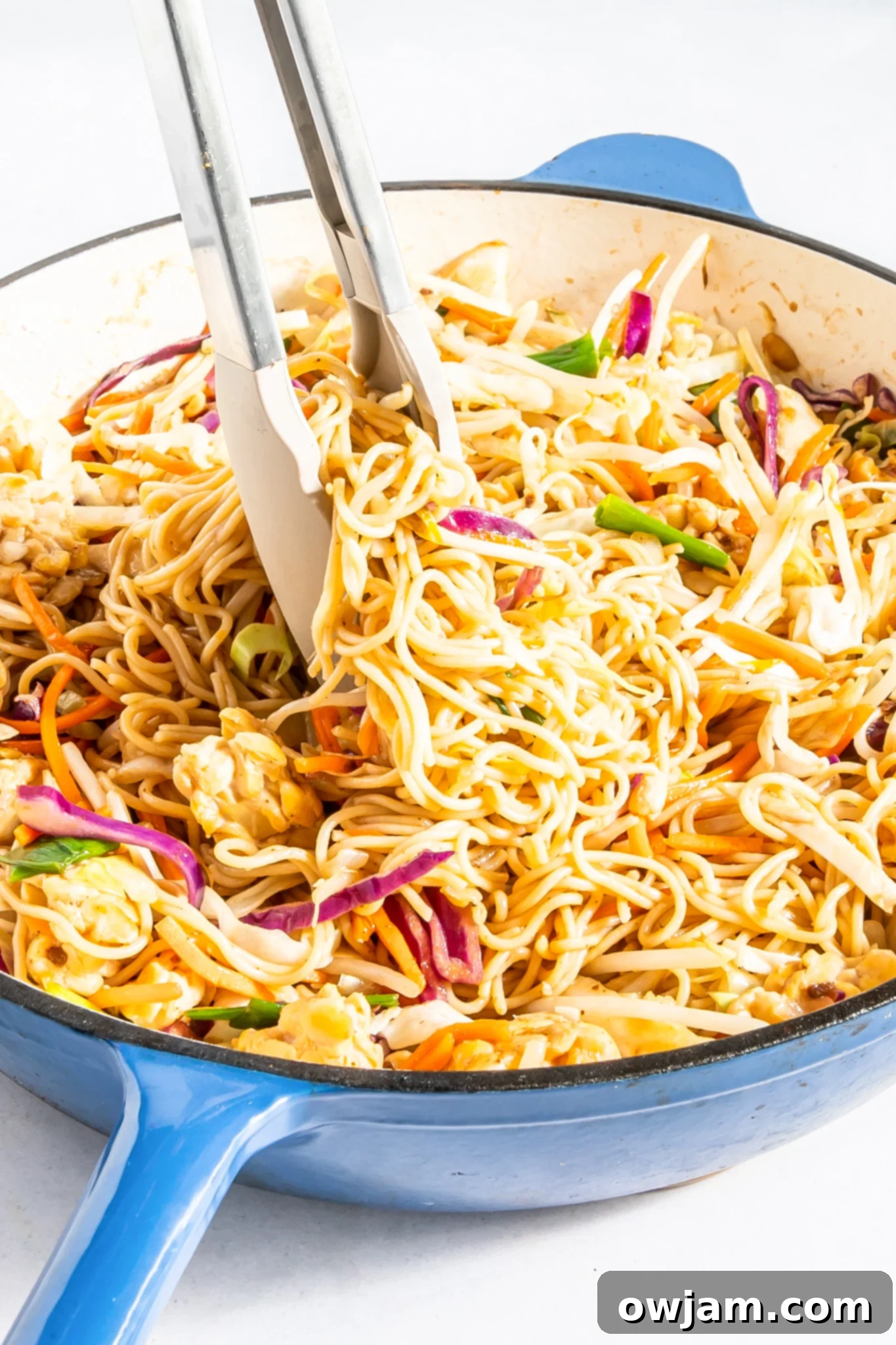 Quick Veggie Chow Mein 2 Easy Vegetable Chow Mein in a pot, garnished with fresh cilantro and sesame seeds.
