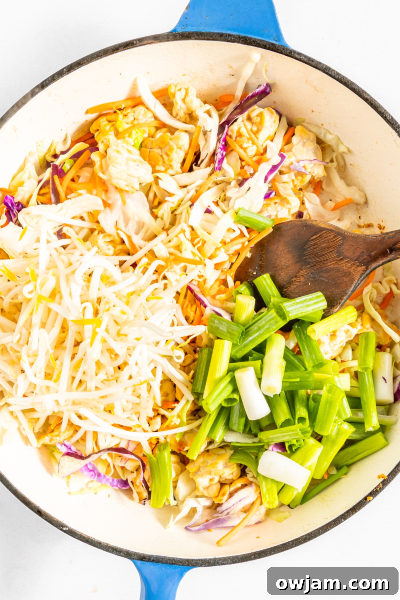 Quick Veggie Chow Mein 6 Easy Vegetable Chow Mein fresh out of the pan, ready to serve.