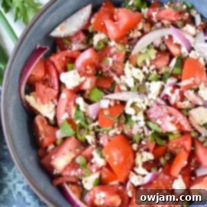 Quick and Fresh Tomato Salad 7 Easy Tomato Salad
