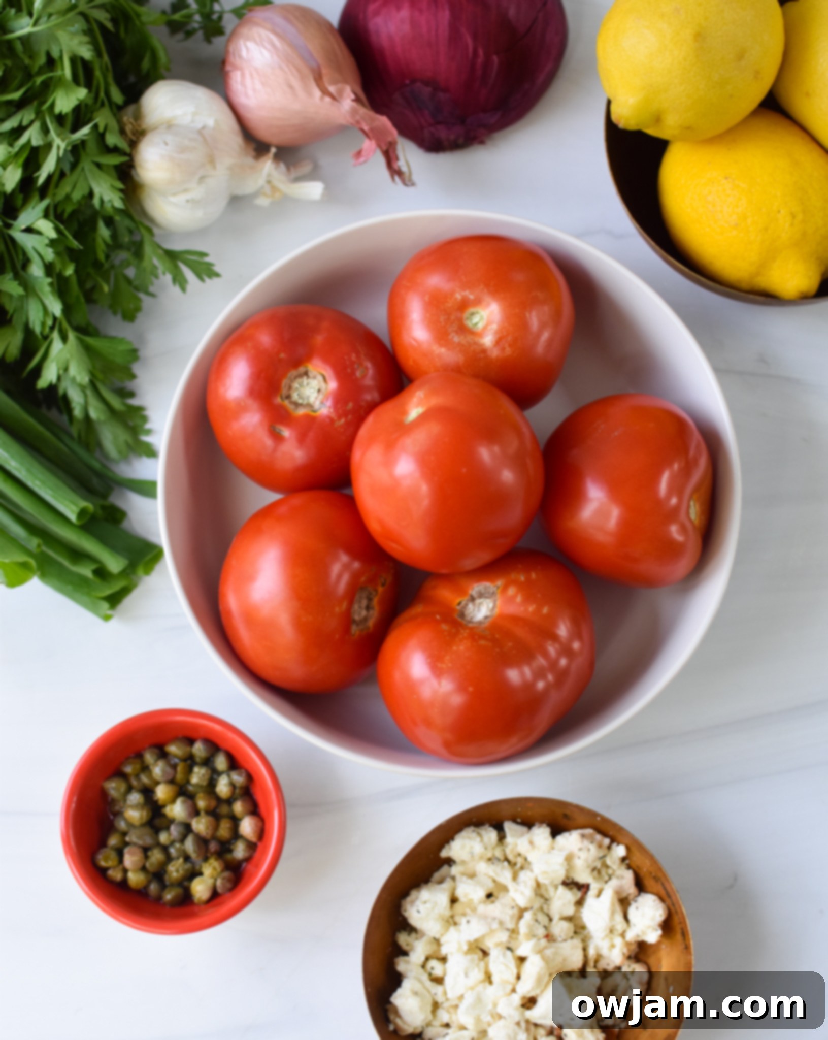 Quick and Fresh Tomato Salad 3 Easy Tomato Salad ingredients laid out on a table, including tomatoes, feta, capers, herbs, and dressing components.