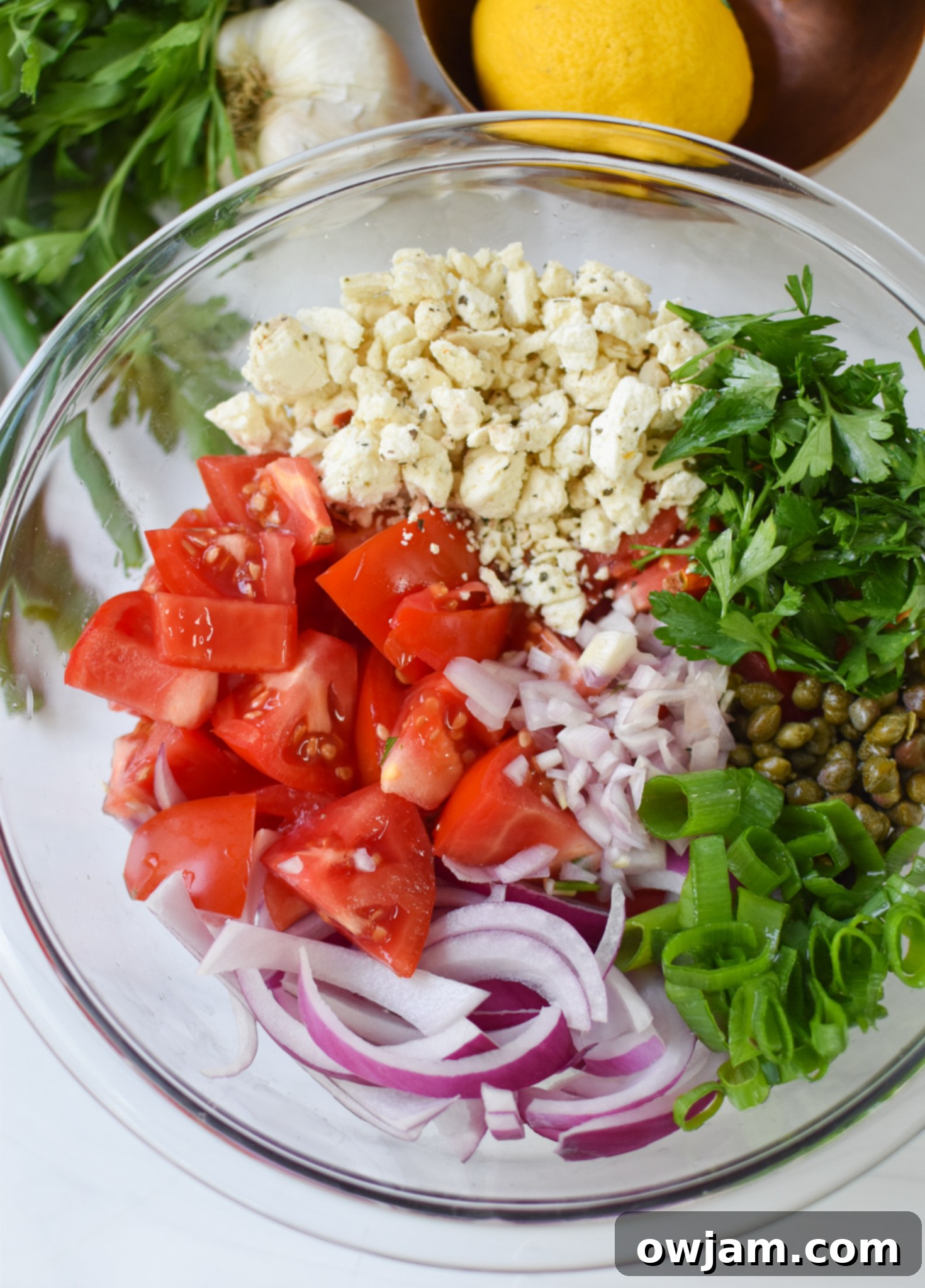 Quick and Fresh Tomato Salad 5 Easy Tomato Salad ingredients in a mixing bowl before dressing is added.
