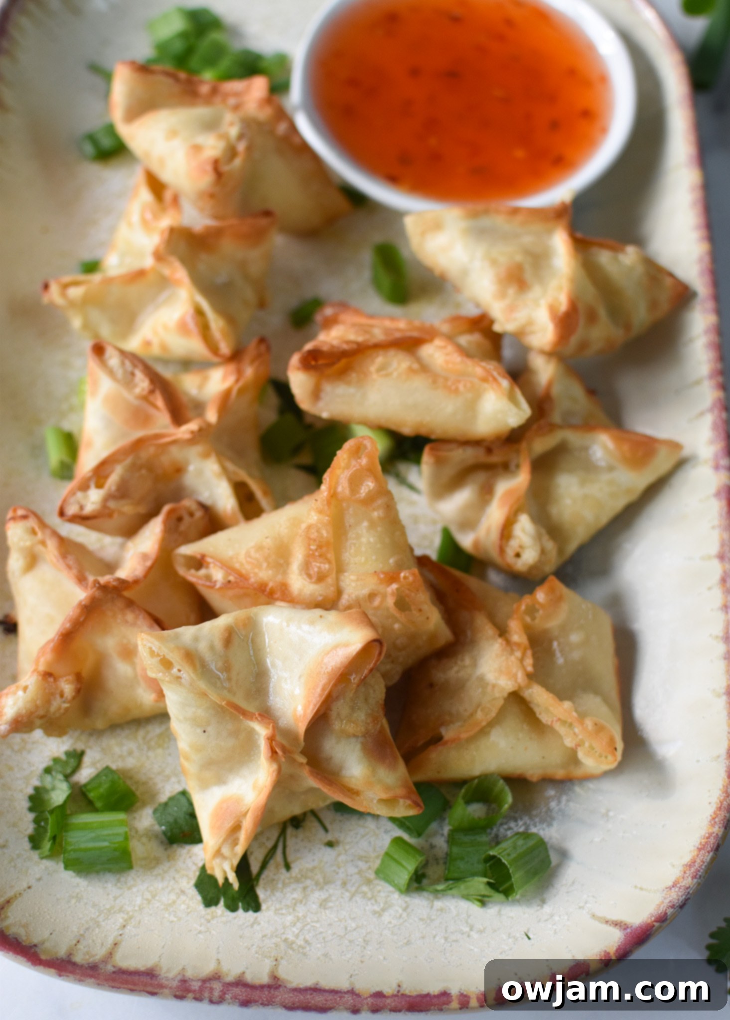 Crispy Air Fryer Crab Rangoon 4 A single, perfectly crispy Air Fryer Crab Rangoon resting on a white plate, highlighting its golden texture and elegant fold.