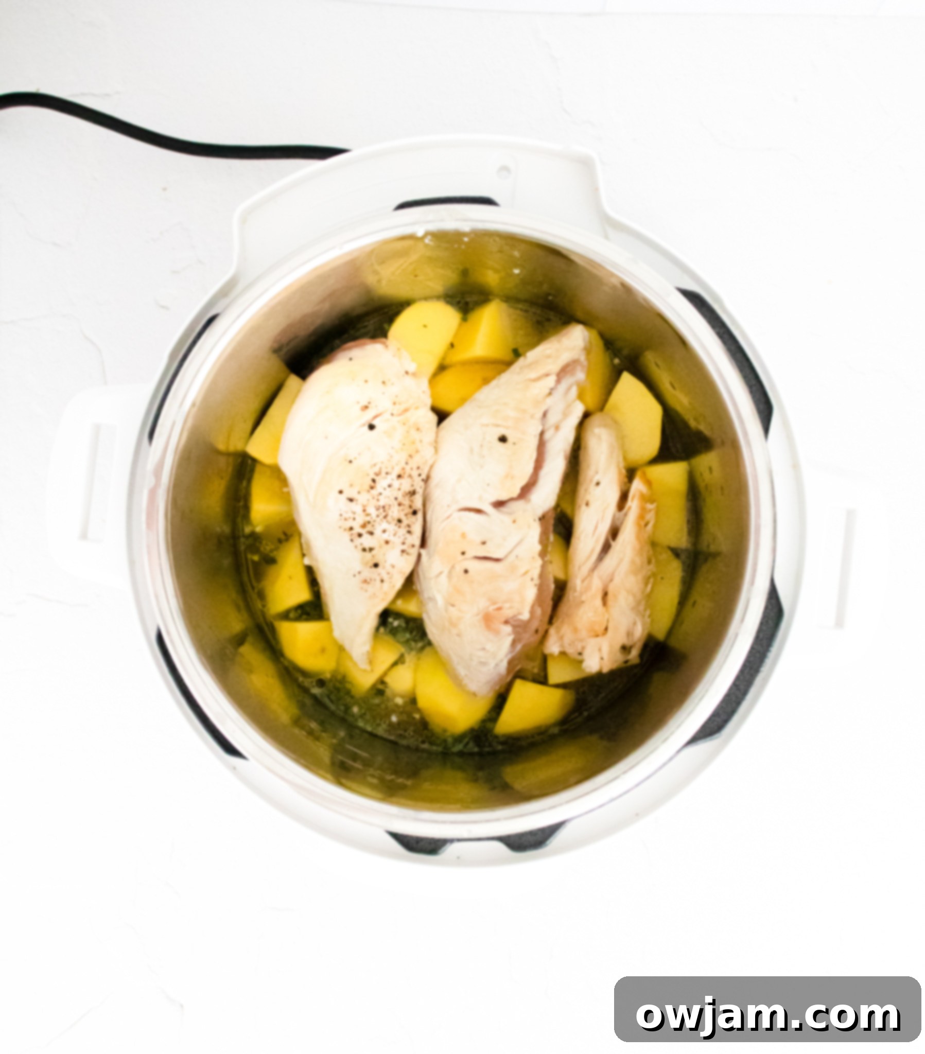 Perfect Instant Pot Chicken Breasts 5 Instant Pot Chicken Breast Recipe ingredients in an instant pot.