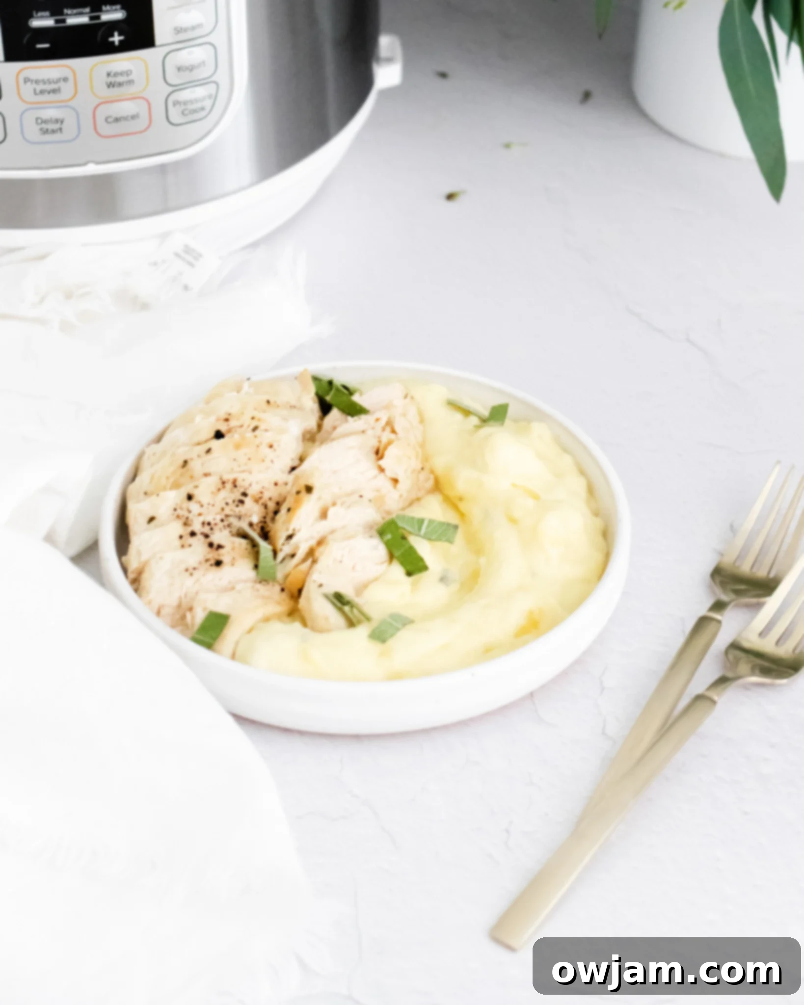 Perfect Instant Pot Chicken Breasts 8 Instant Pot Chicken Breast Recipe in a white bowl.