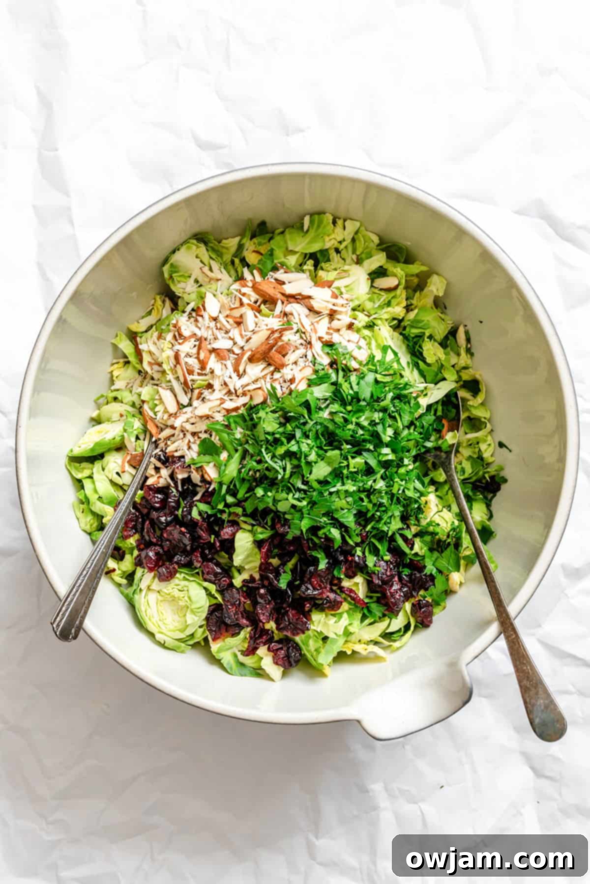 Brussels Sprout Slaw ingredients in a large bowl