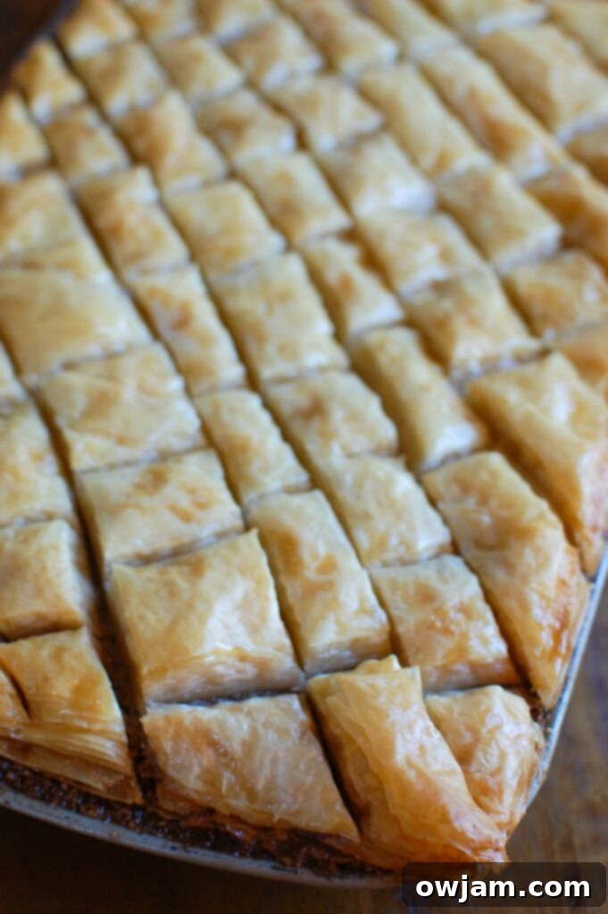 Unlock the Secrets of Perfect Baklava 4 A close-up of a tray of uncooked baklava, showing the distinct diamond-shaped cuts and the neatly arranged layers of phyllo dough and rich nut filling.