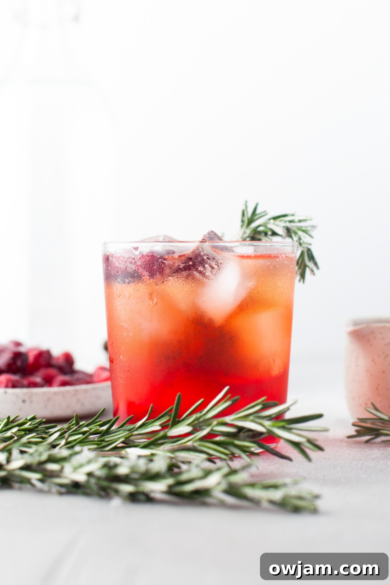A single Cranberry Aperol Spritz in a short glass with cranberries and rosemary.