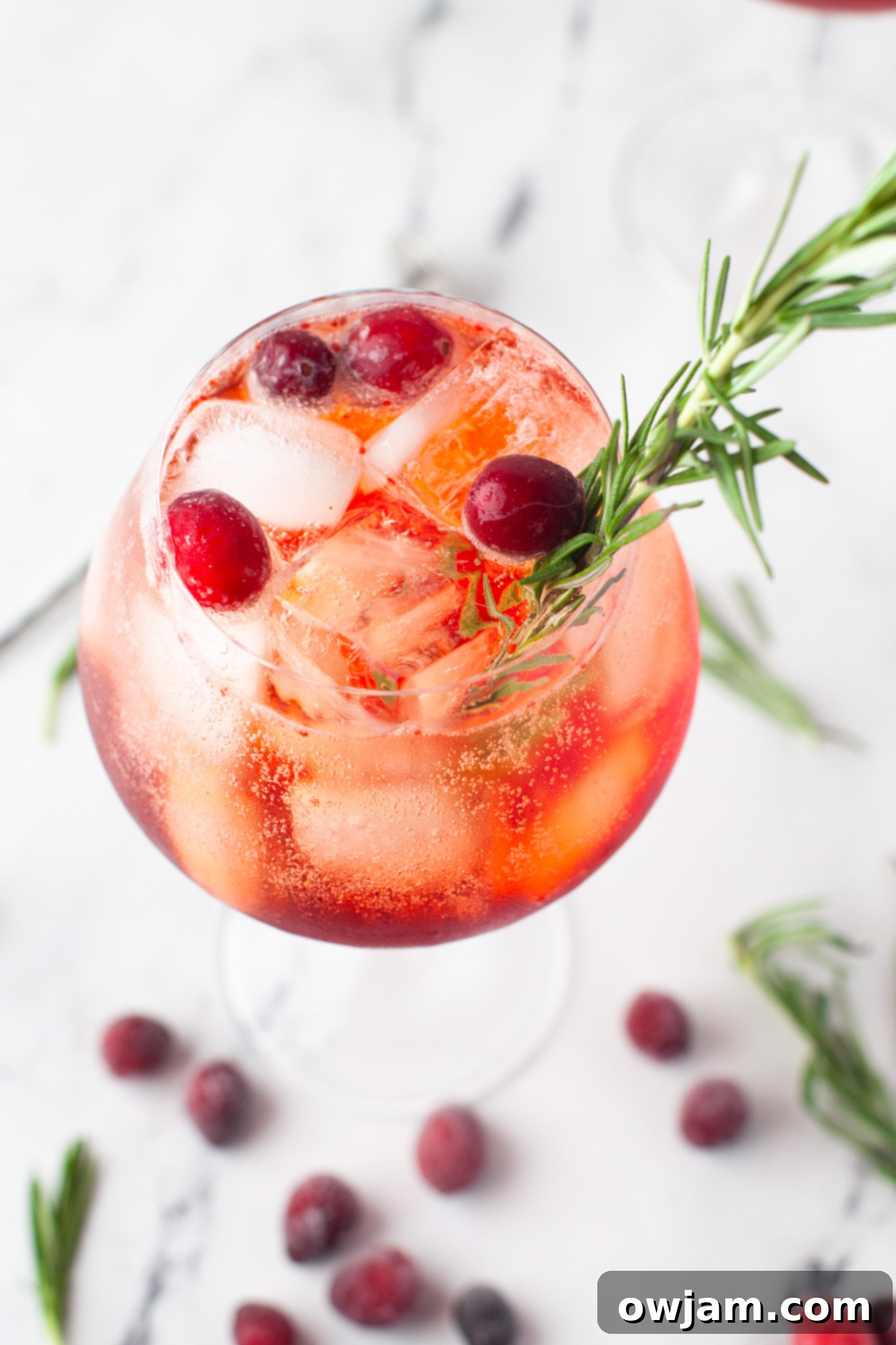 Cranberry Aperol Spritz garnished with fresh cranberries and an orange slice.