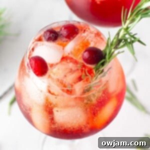 Cranberry Aperol Spritz 1200 x 1200