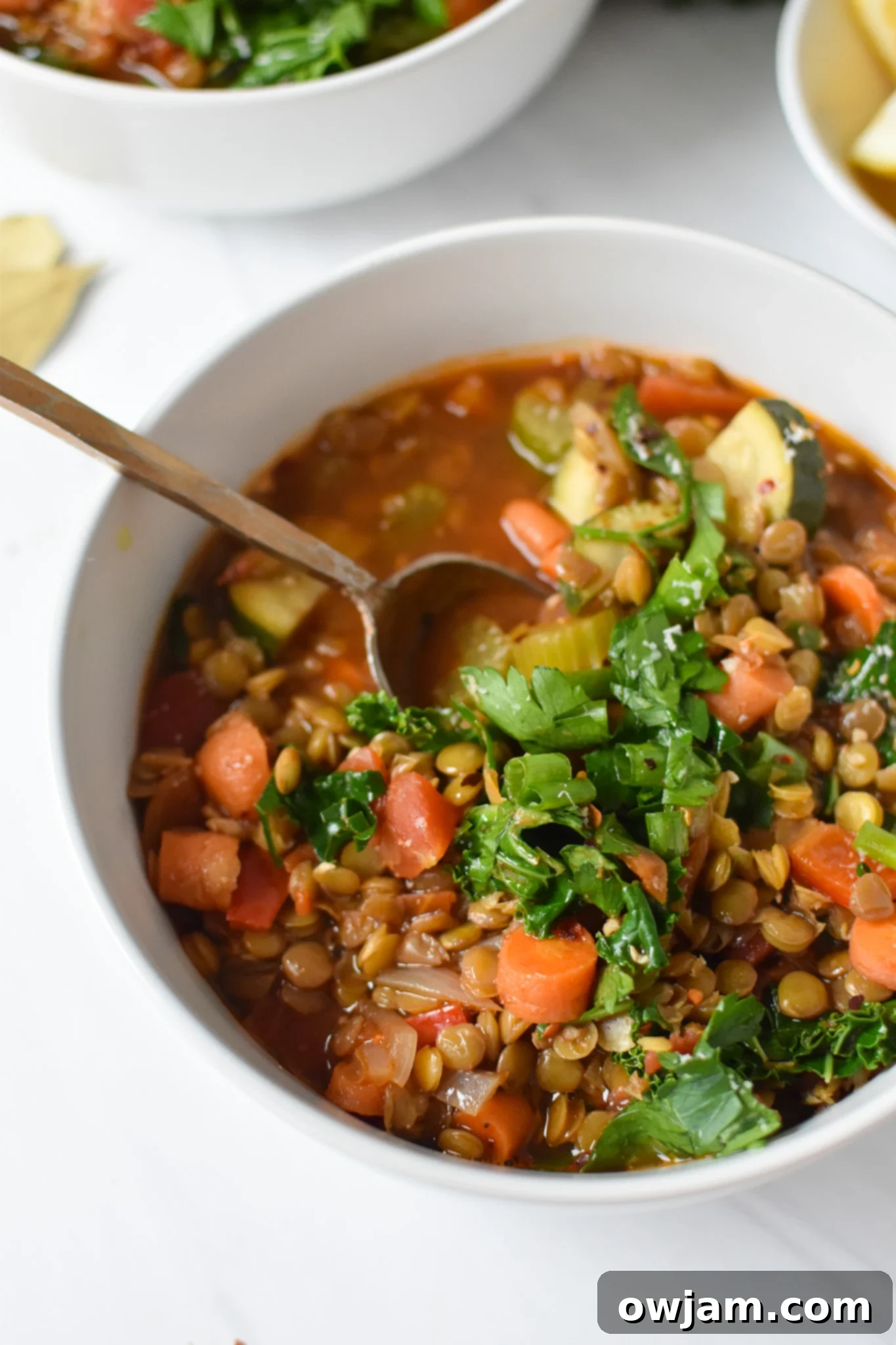 Tuscan Lentil Soup 2 Italian Style Lentil Soup with a gold spoon.
