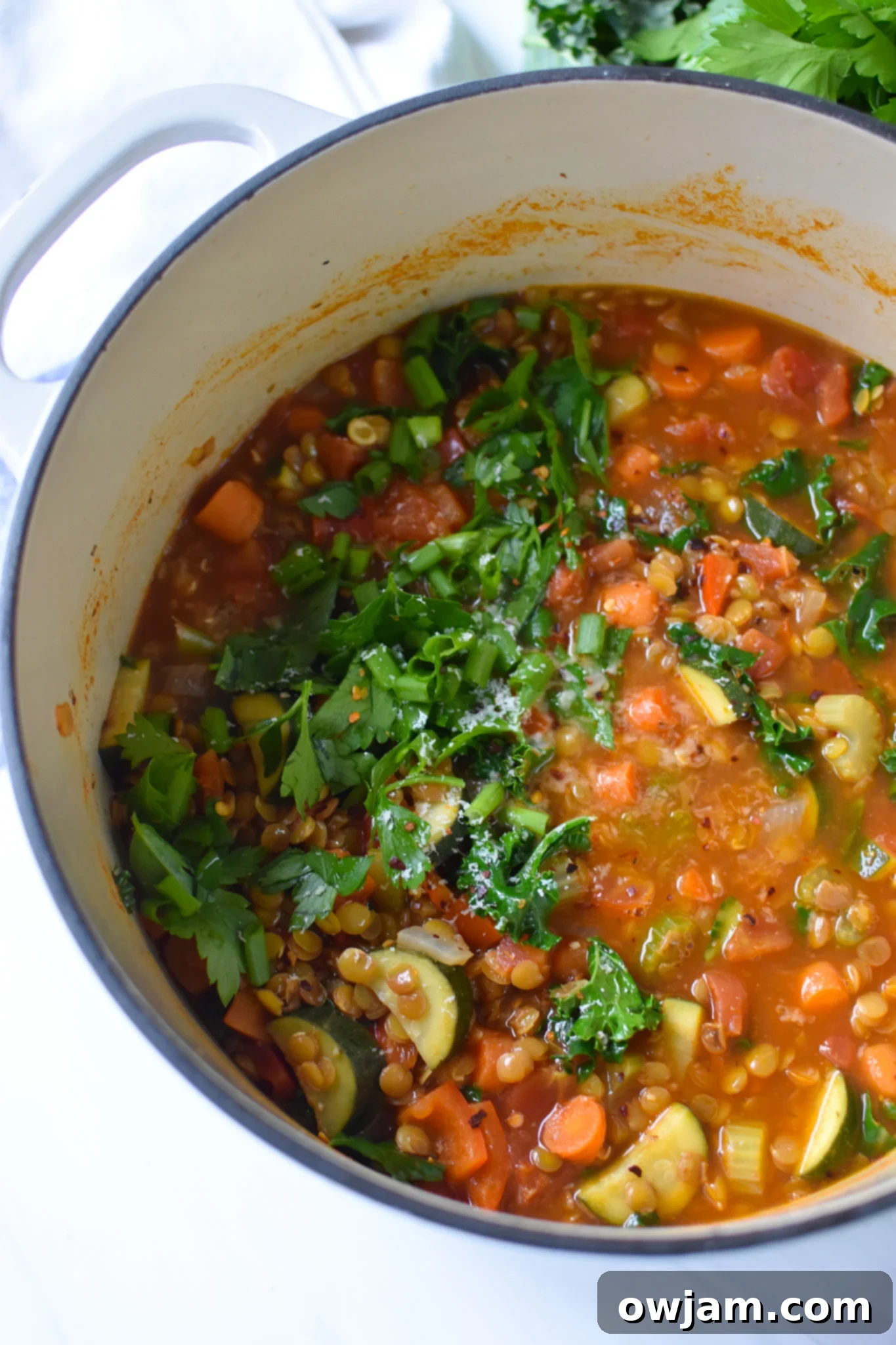 Tuscan Lentil Soup 5 Italian Style Lentil Soup in a big pot.