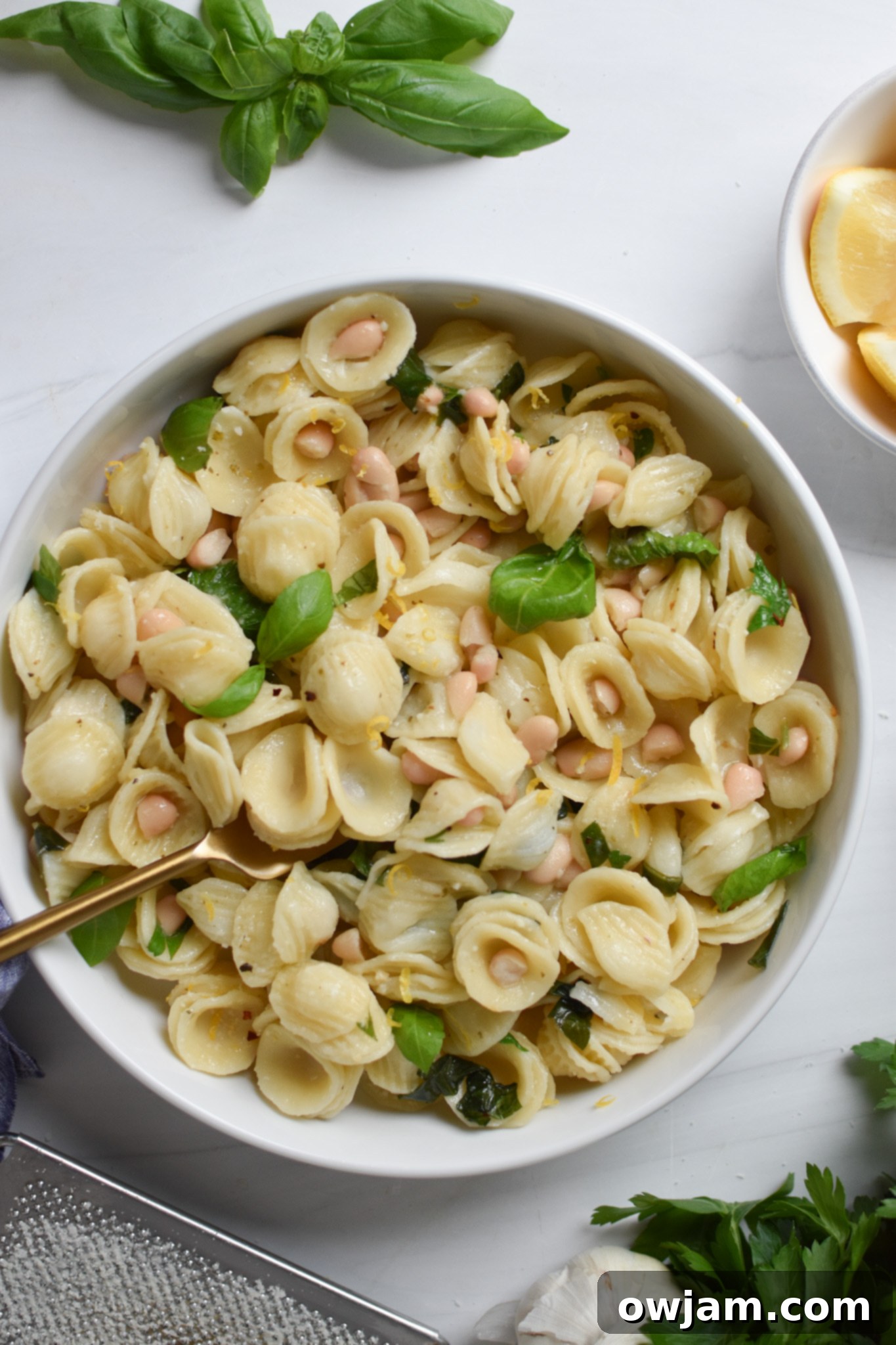 Lemon Basil Pasta with basil and lemon. 