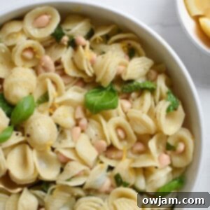 Lemon Basil White Bean Pasta 1200 x 1200