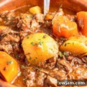 Crock Pot Beef Stew in a bowl with spoon