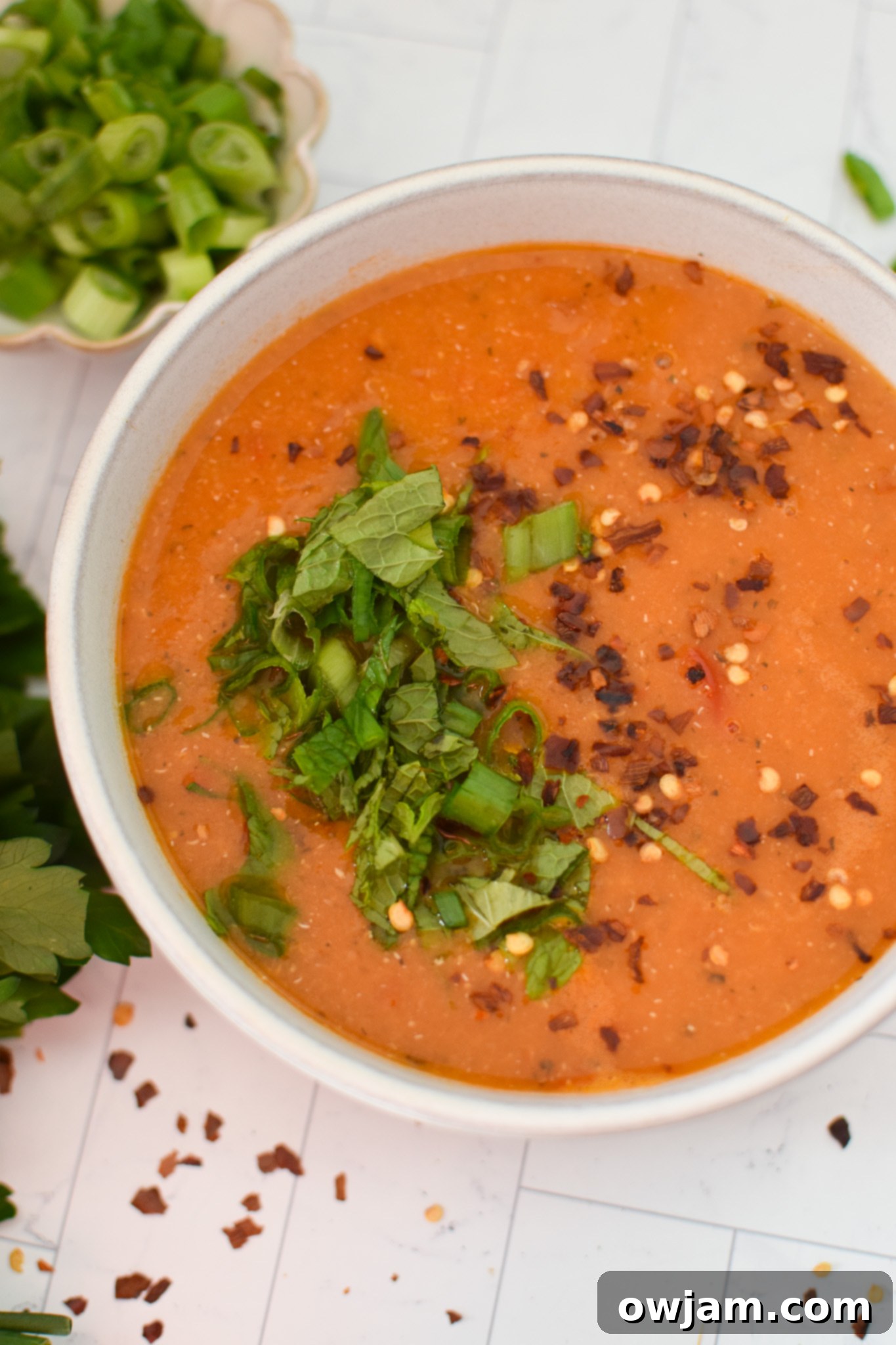 Turkish Lentil Soup 2 Turkish Lentil Soup with mint and parsley.
