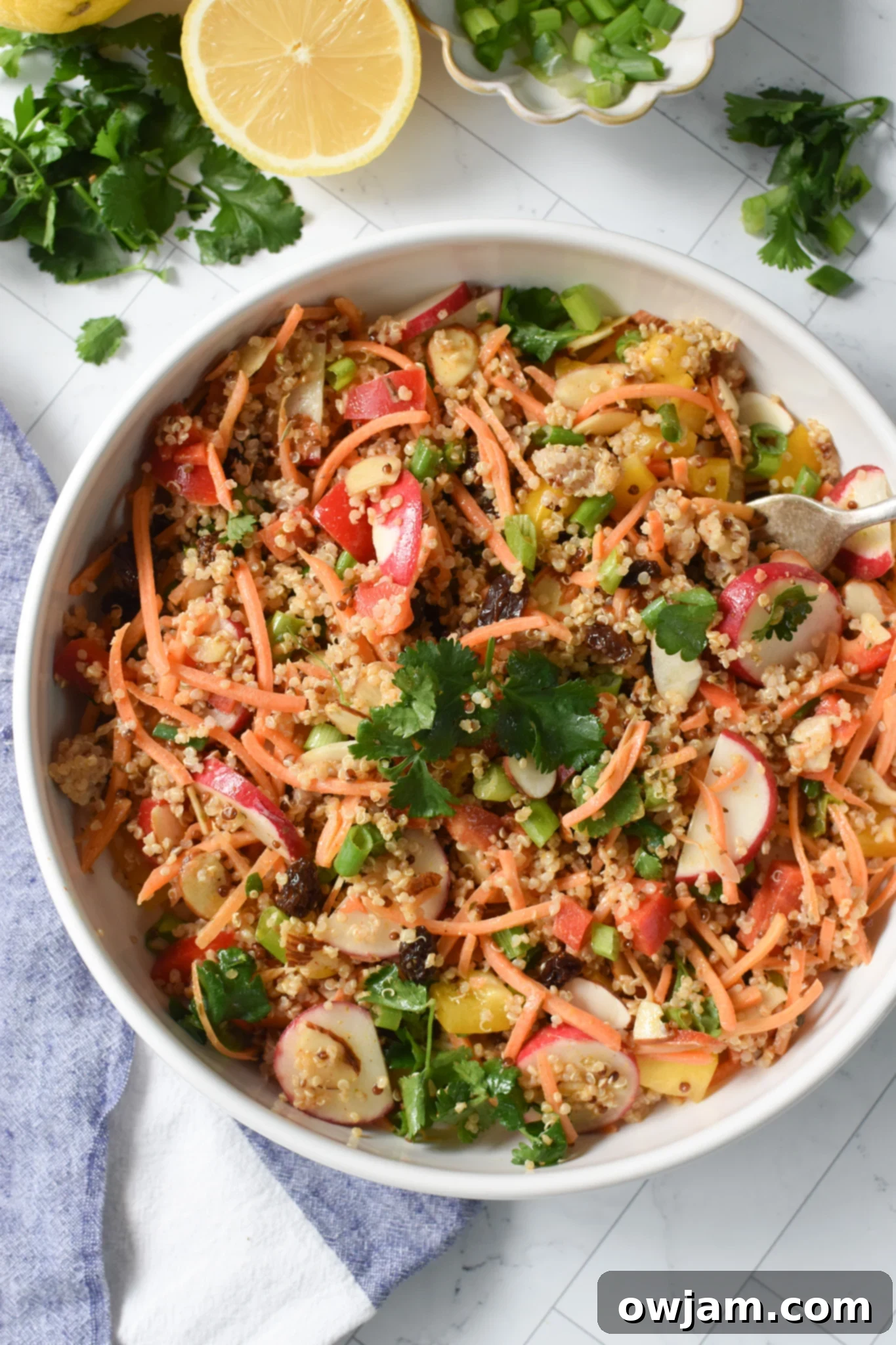 A beautifully presented Curried Quinoa Salad in a elegant white bowl, garnished with fresh herbs.