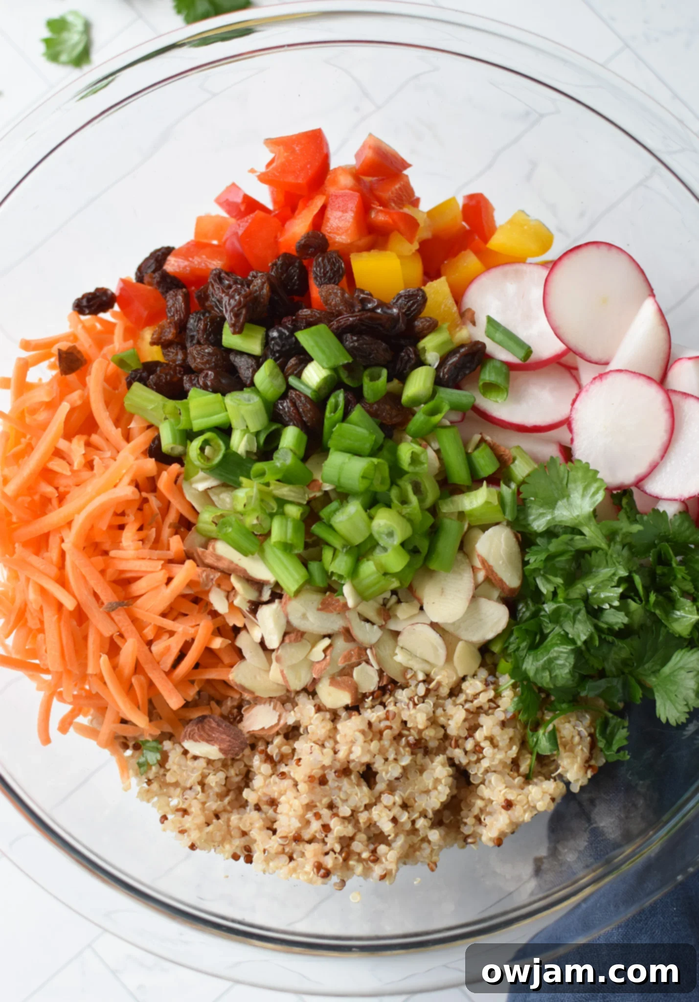 A large bowl filled with uncooked Curried Quinoa Salad ingredients, including cooked quinoa, various chopped vegetables, dried fruits, and nuts, prior to dressing.