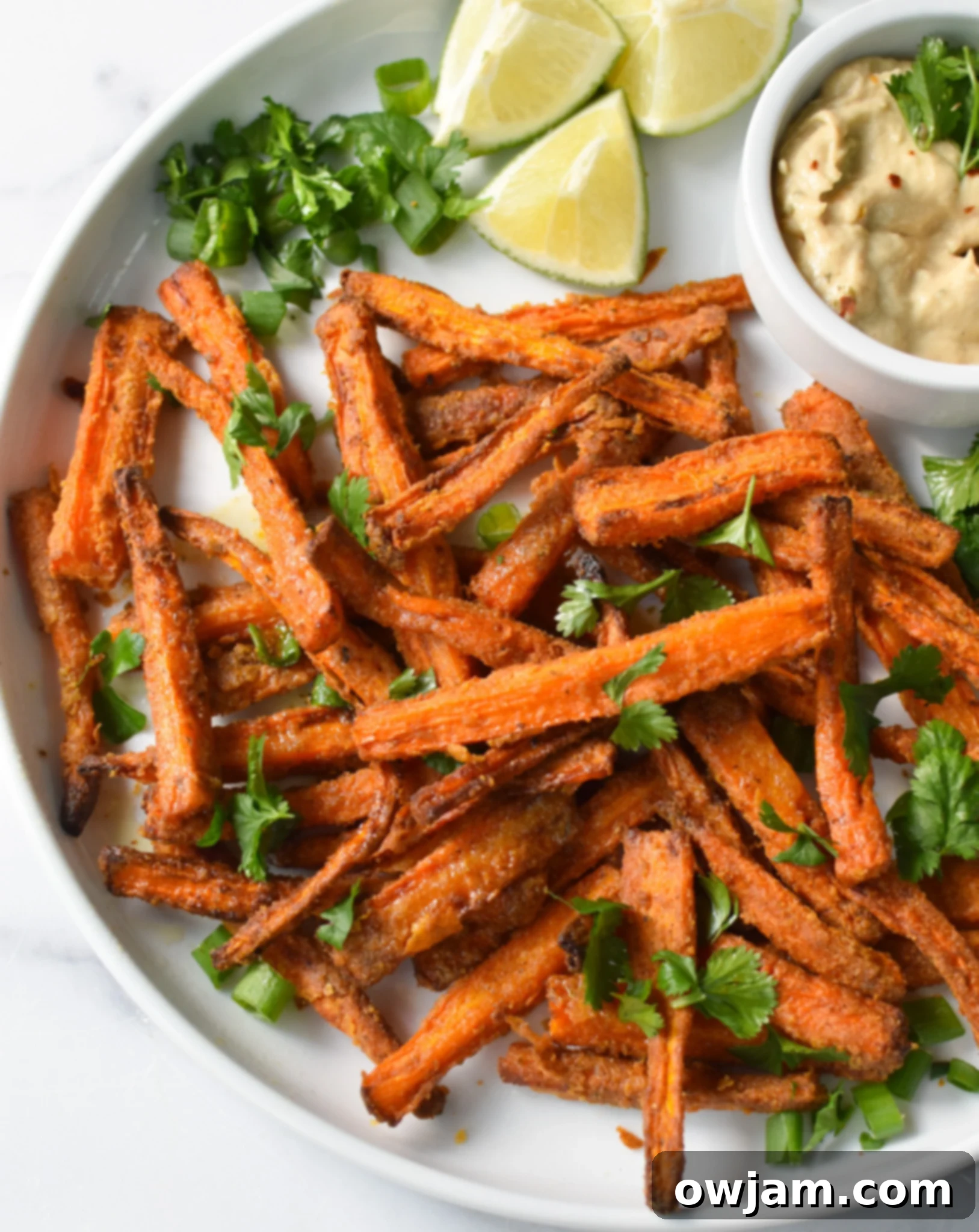 Roasted Carrot Fries 5 Oven Baked Carrot Fries in a bowl with a side of dip.