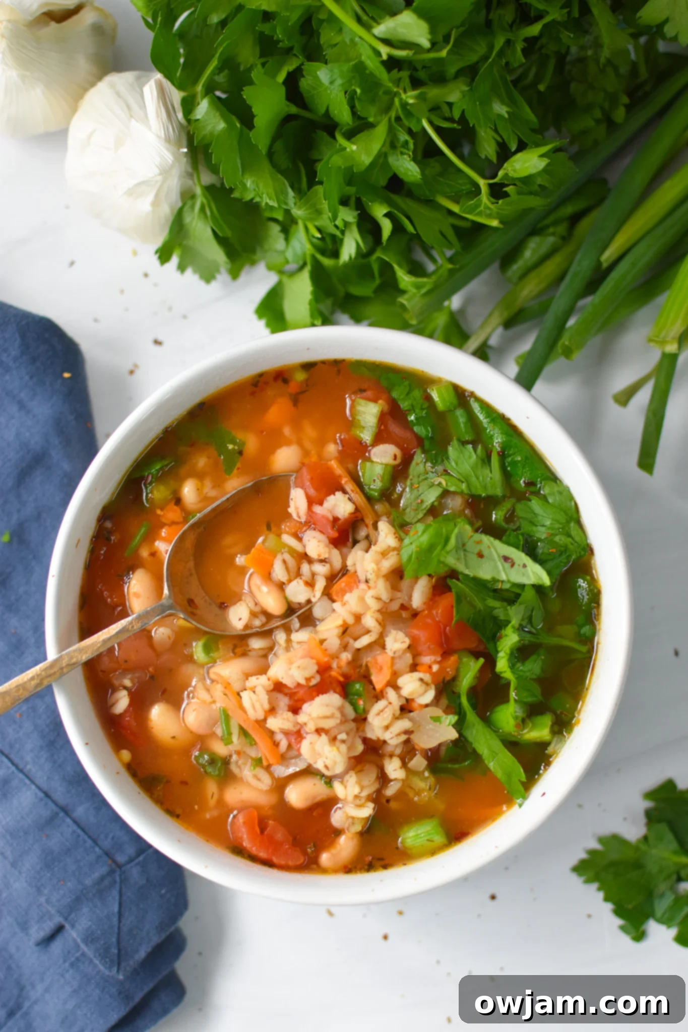 Hearty Vegetable Barley Bowl 2 A vibrant bowl of Vegetable Barley Soup garnished with fresh herbs and a golden spoon.