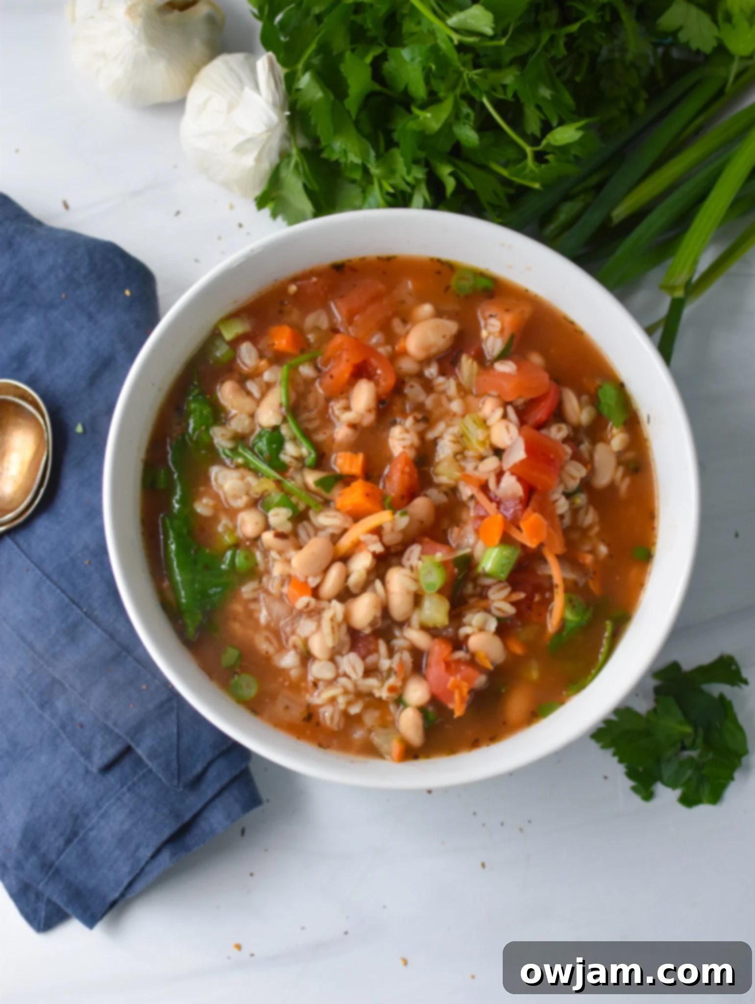 Hearty Vegetable Barley Bowl 3 A beautifully presented bowl of Vegan Vegetable Barley Soup with a blue napkin and fresh parsley.