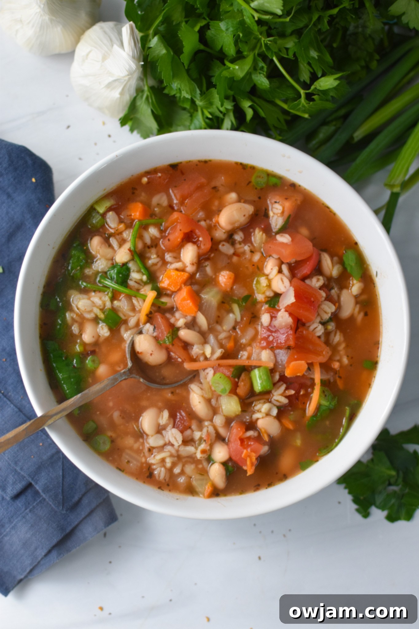 Hearty Vegetable Barley Bowl 5 A close-up of a bowl of Hearty Vegan Vegetable Barley Soup, perfectly garnished and ready to be enjoyed.