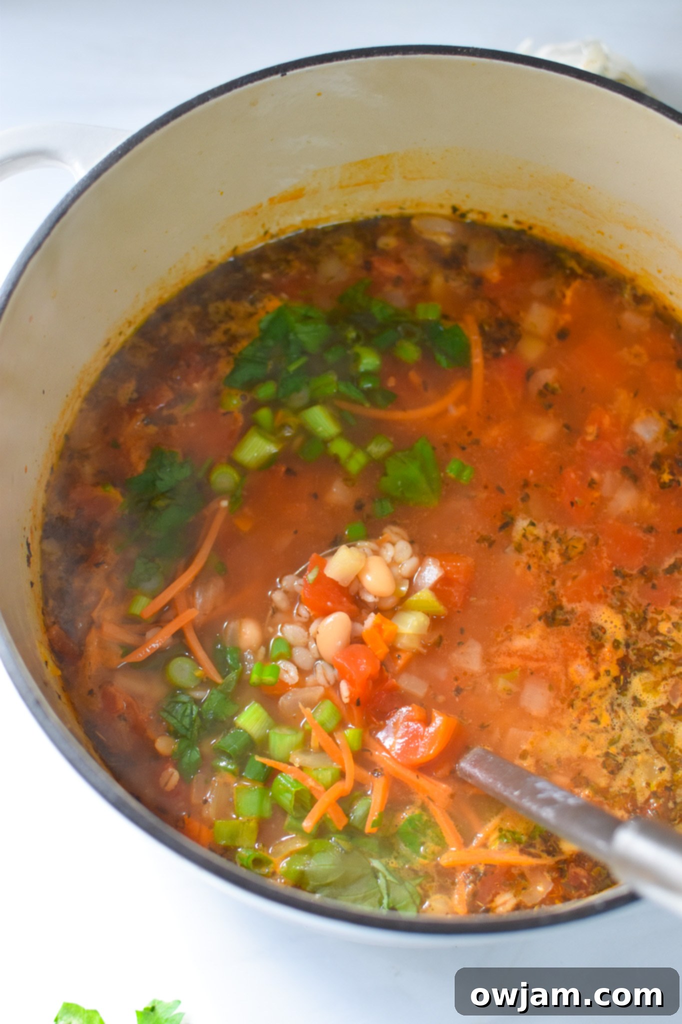 Hearty Vegetable Barley Bowl 6 A large pot filled with freshly cooked Hearty Vegan Vegetable Barley Soup, steaming gently.