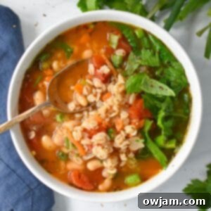 Hearty Vegetable Barley Bowl 7 A perfectly portioned bowl of Vegan Vegetable Barley Soup, ready to eat.
