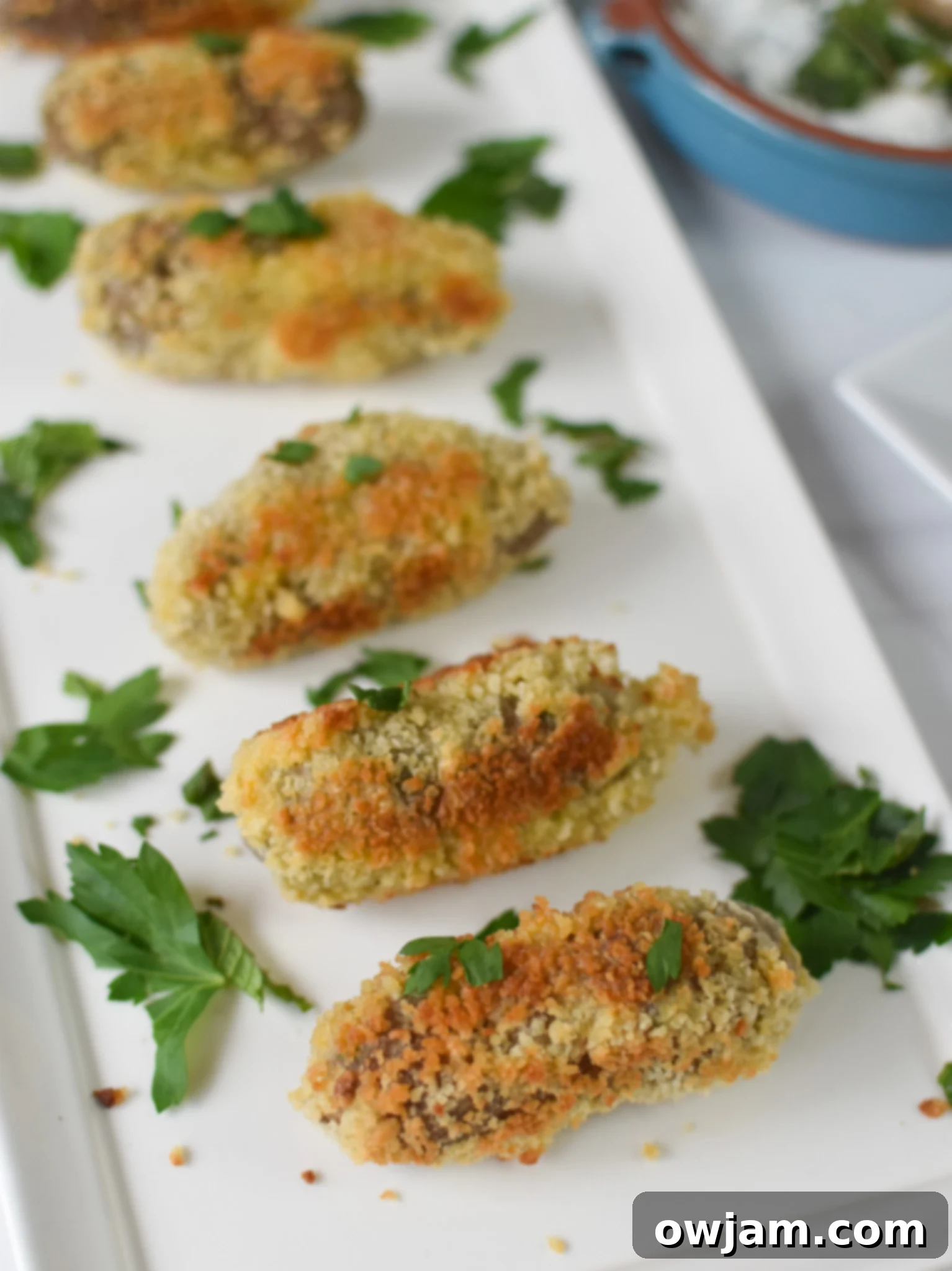 Lamb Croquettes on a white plate. 