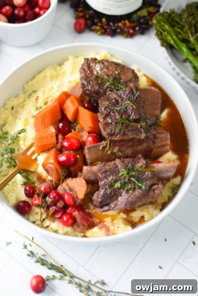 Festive Cranberry Braised Short Ribs 2 Cranberry Braised Short Ribs Recipe served in a white bowl, garnished with fresh herbs, showcasing the tender beef.