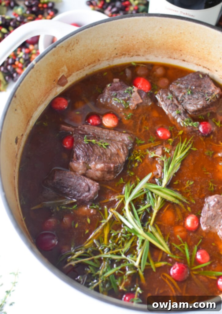 Festive Cranberry Braised Short Ribs 8 Cranberry Braised Short Ribs Recipe with all ingredients in a Dutch oven, ready for the oven.