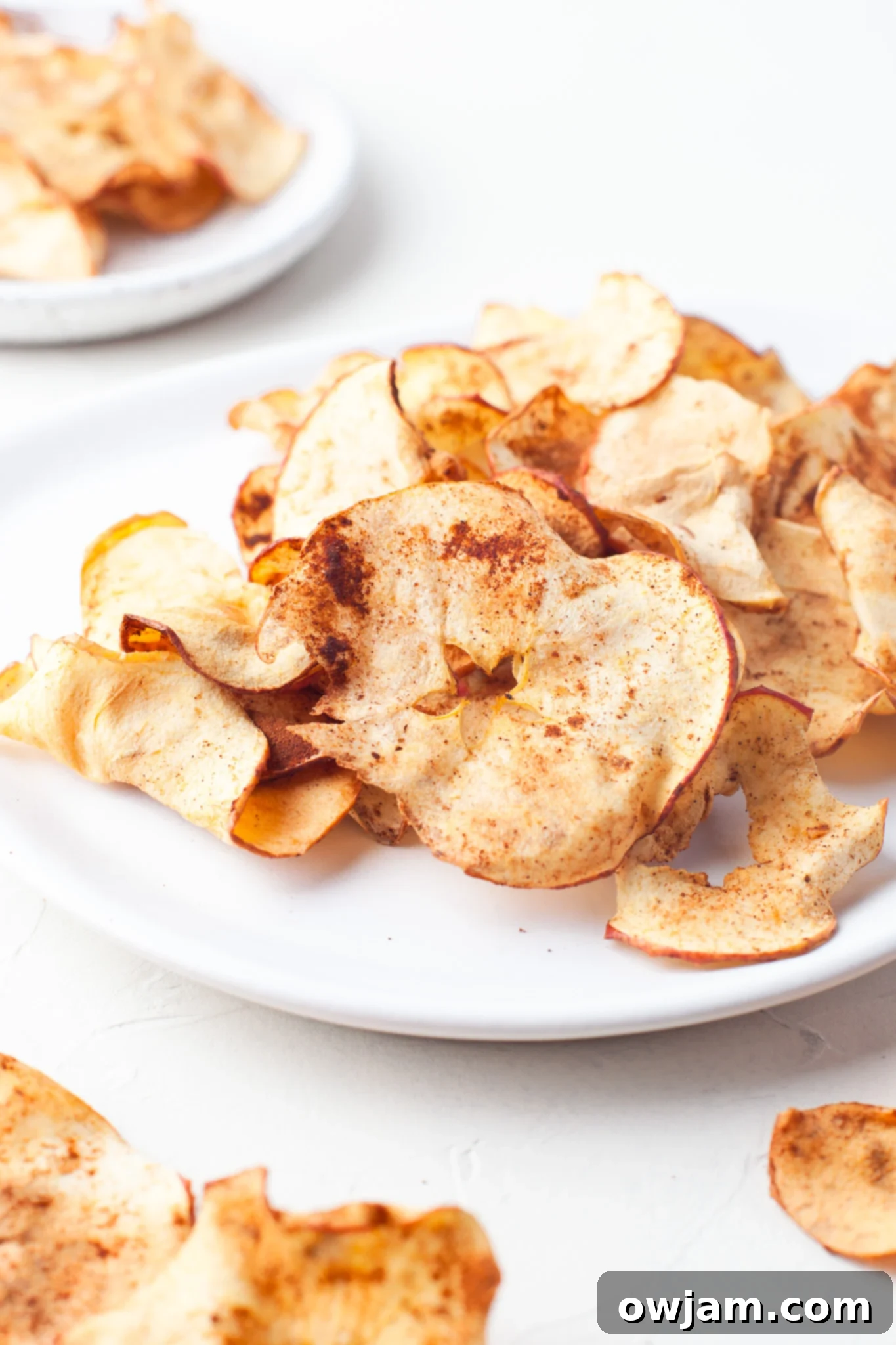 Perfectly Crispy Air Fryer Apple Slices 2 Crispy Air Fryer Apple Chips on a pristine white plate, garnished with a sprinkle of cinnamon.