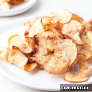 Perfectly Crispy Air Fryer Apple Slices 11 Easy Air Fryer Apple Chips 1200 x 1200