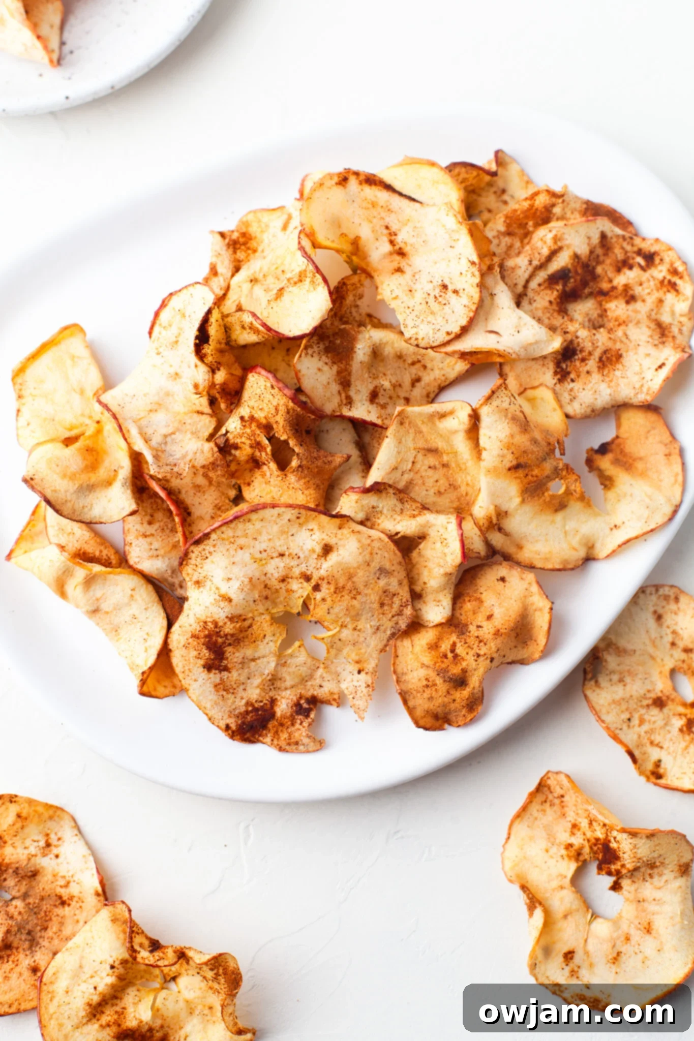 Perfectly Crispy Air Fryer Apple Slices 4 Easy Air Fryer Apple Chips on a white plate, showing their crispy texture and golden color.