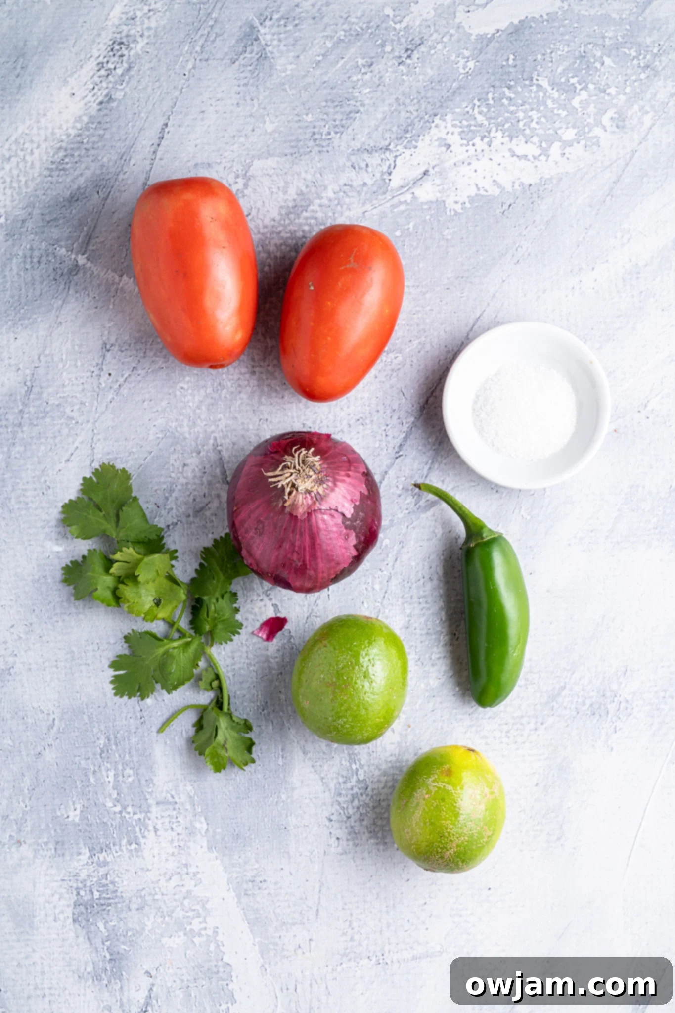 Fresh Homemade Pico de Gallo 3 Homemade Pico de Gallo ingredients.