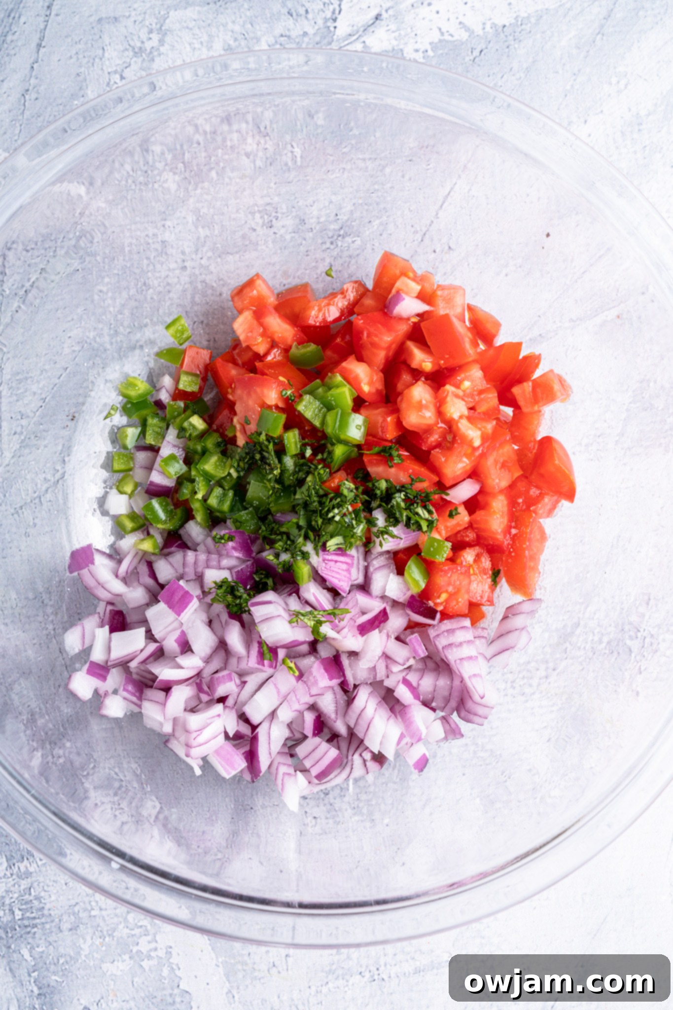 Fresh Homemade Pico de Gallo 6 Homemade Pico de Gallo ingredients in a large bowl.