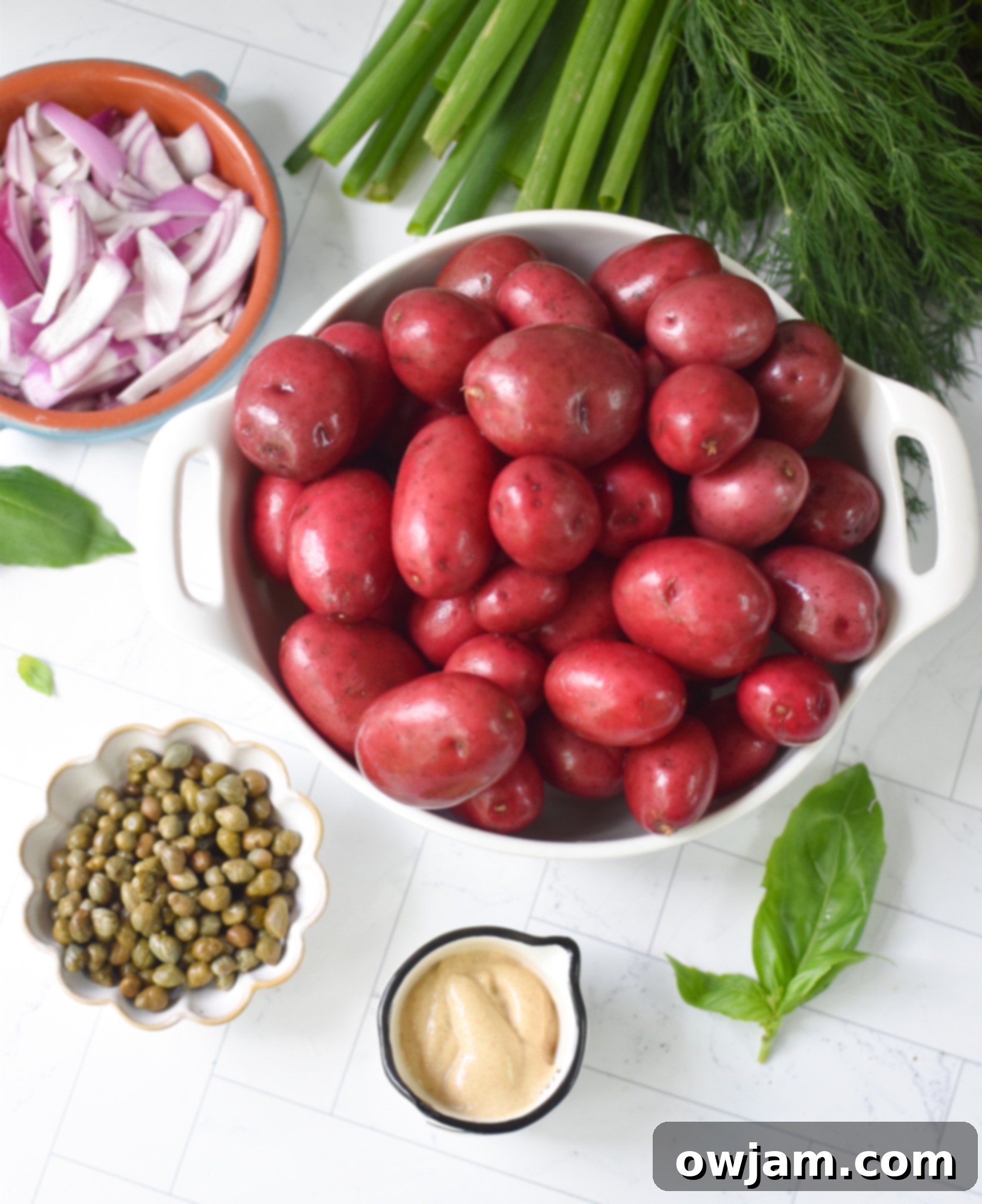 A selection of fresh ingredients laid out for No Mayo Potato Salad, including red potatoes, herbs, and red onion.