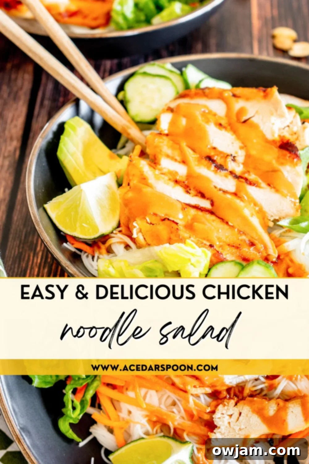 Thai Chicken Noodle Salad with logo. A large bowl of Thai chicken noodle salad with a recipe blog logo.