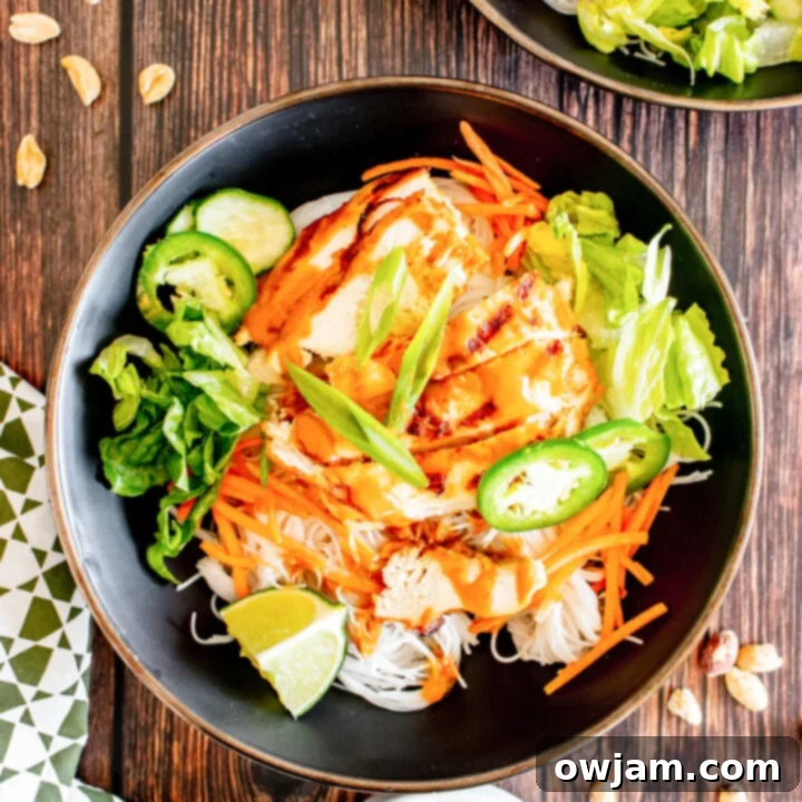 Refreshing Thai Chicken Noodle Salad 14 Thai Chicken Noodle Salad with carrots. A vibrant and fresh chicken noodle salad, perfect for a healthy meal.