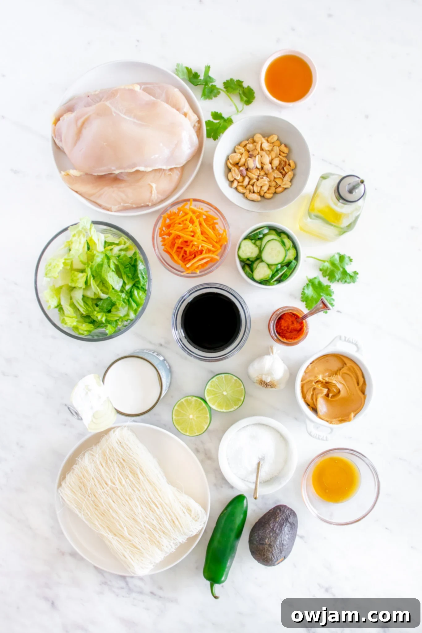 Thai Chicken Noodle Salad ingredients. A selection of fresh ingredients for a flavorful Thai chicken noodle salad.
