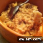 Close-up of a bowl of warm, healthy oatmeal with fruit, perfect for a toddler's breakfast.