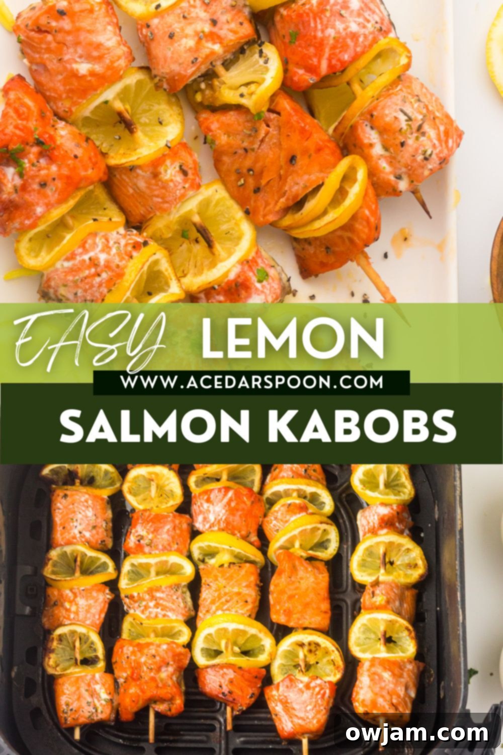 Zesty Lemon Salmon Skewers 12 Easy Lemon Salmon Kabobs with the website logo, showcasing a perfectly cooked skewer.
