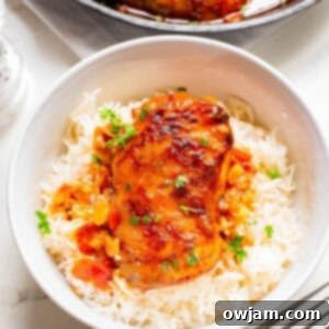 Spicy Harissa Chicken 11 Harissa Chicken Recipe 1200 x 1200