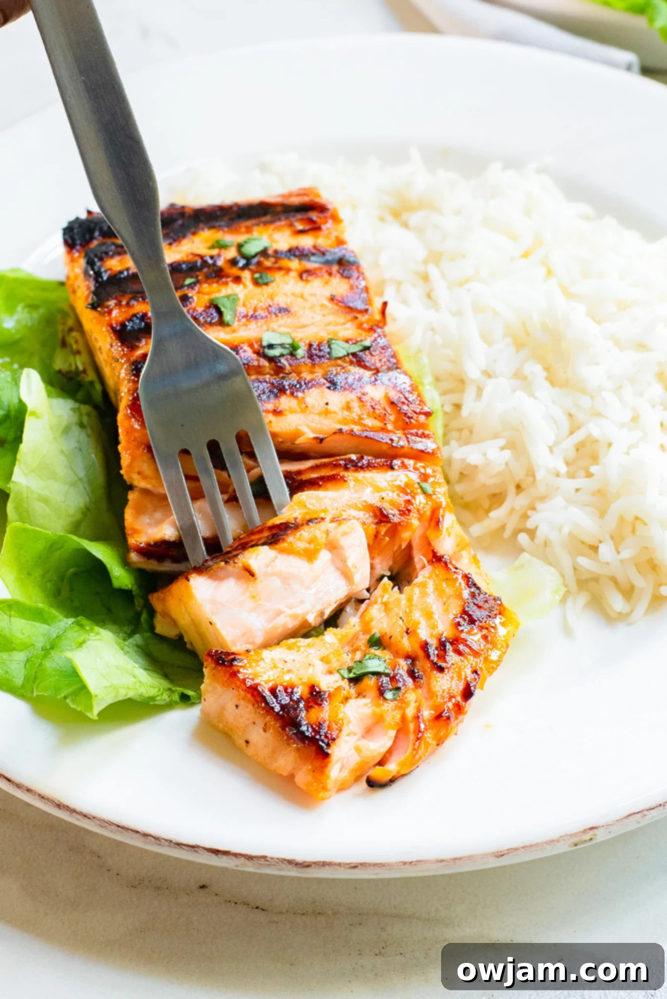 Honey Mustard Salmon over rice on a white plate. 