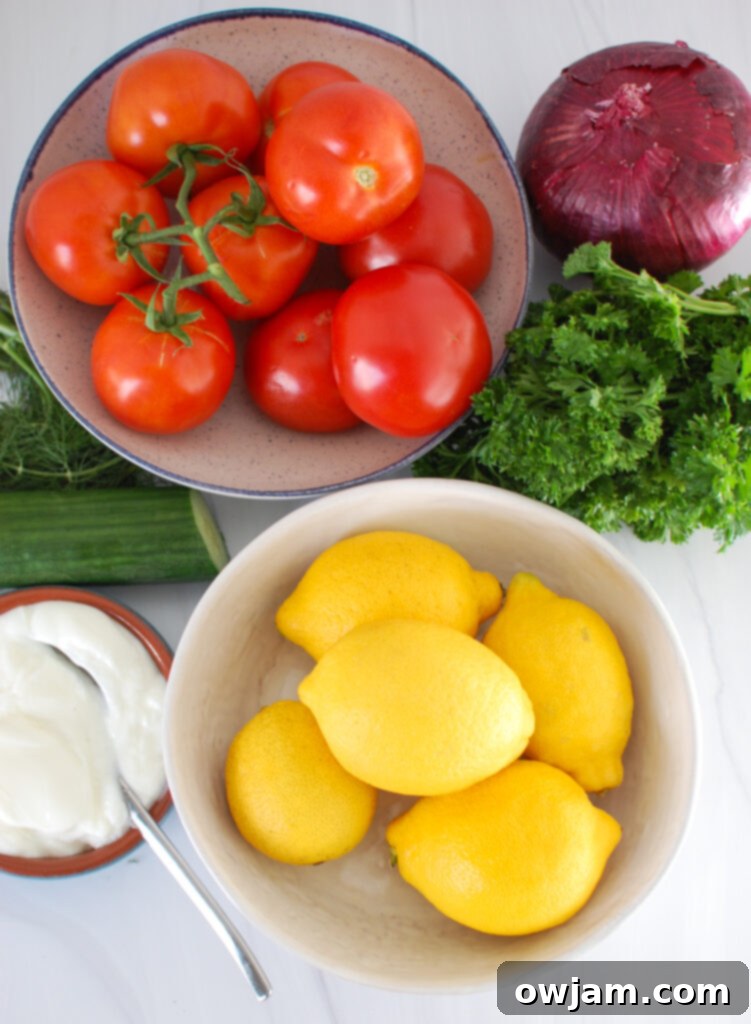 Cooling Cucumber Tomato Yogurt Salad 4 Tomato Cucumber Salad with Yogurt Dressing ingredients