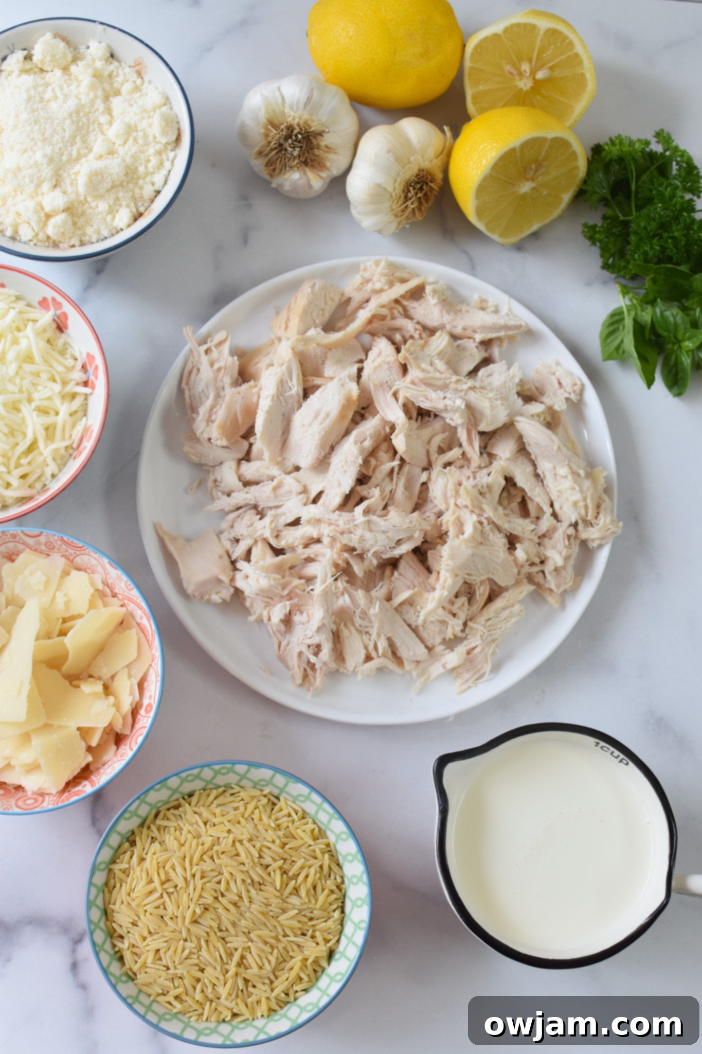 Assortment of fresh ingredients laid out, including chicken breasts, orzo pasta, a lemon, garlic, and fresh herbs, ready for making Lemon Chicken Orzo.