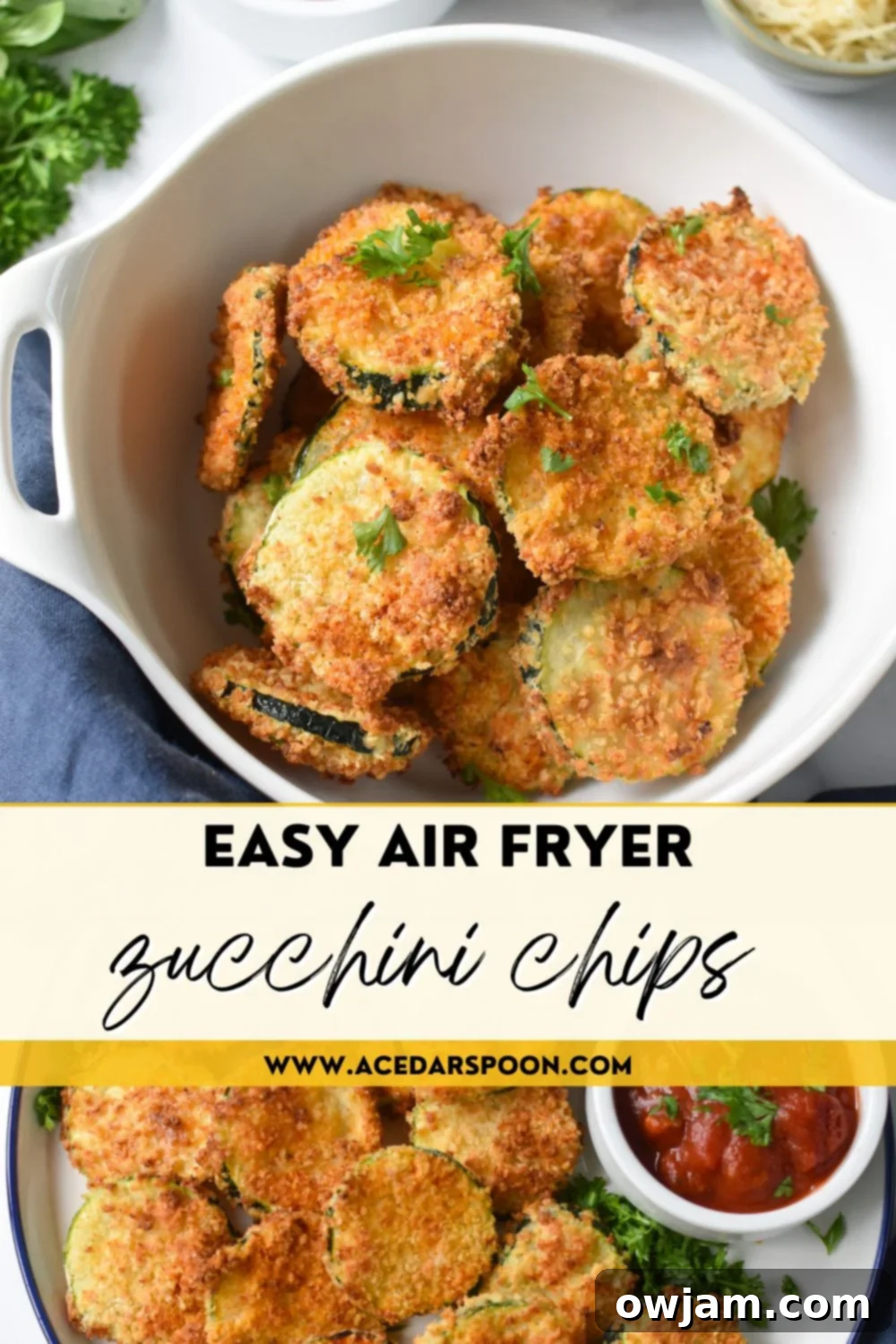 Crispy Air Fryer Zucchini Chips 11 Air Fryer Zucchini Chips with a recipe blog logo, highlighting the dish as a healthy and flavorful option.