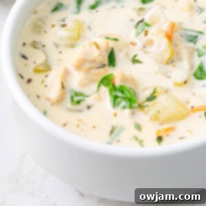 Make Olive Garden Chicken Gnocchi Soup at Home 11 Copycat Olive Garden Chicken Gnocchi Soup in a white bowl up close