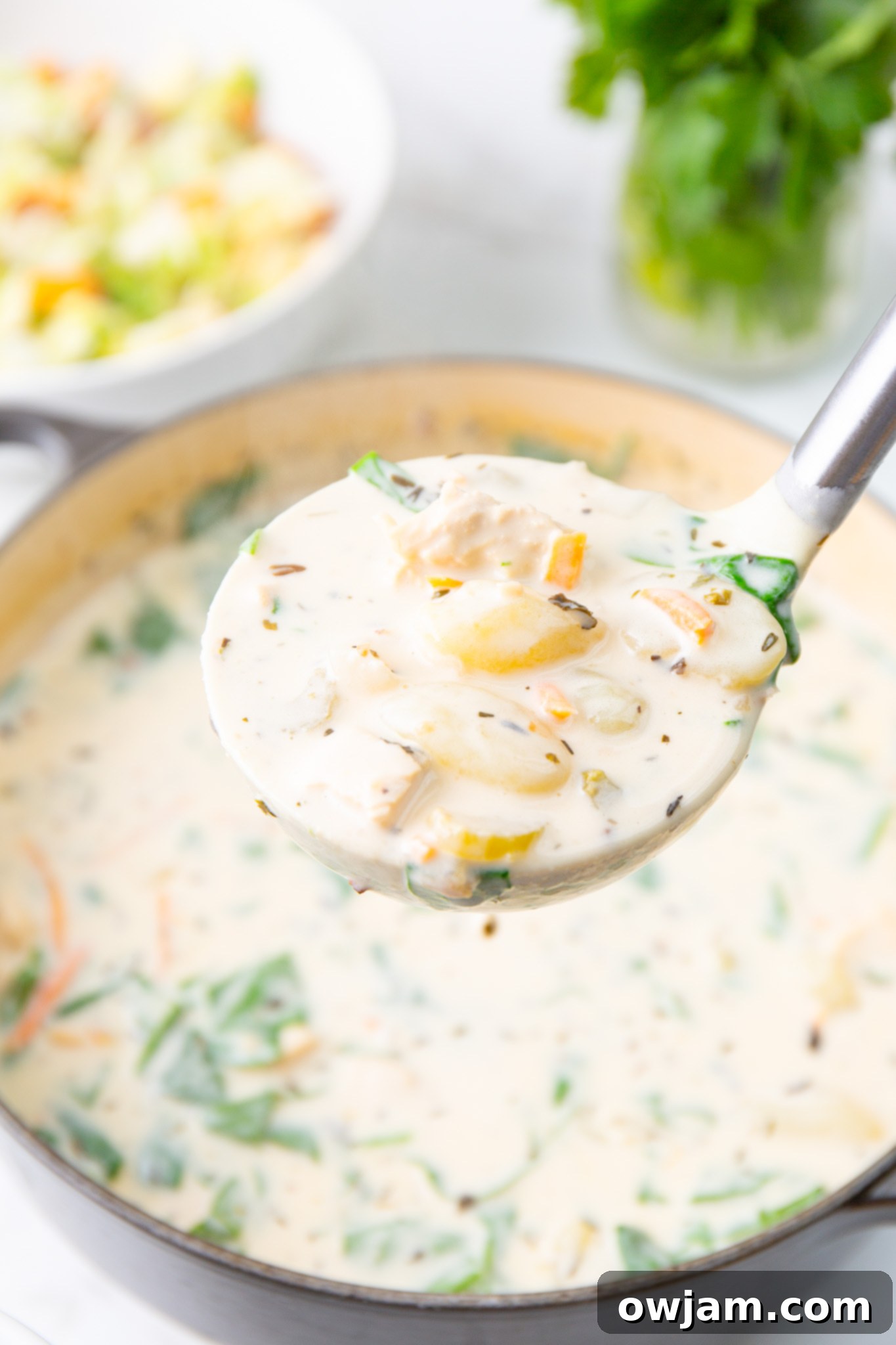Make Olive Garden Chicken Gnocchi Soup at Home 3 Copycat Olive Garden Chicken Gnocchi Soup Recipe with ladle of soup in a dutch oven, steaming.
